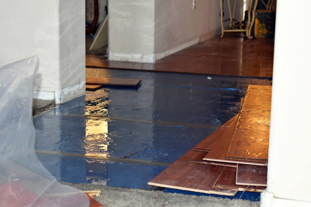 Professional Water Damage Restoration technician working in Durant, IA